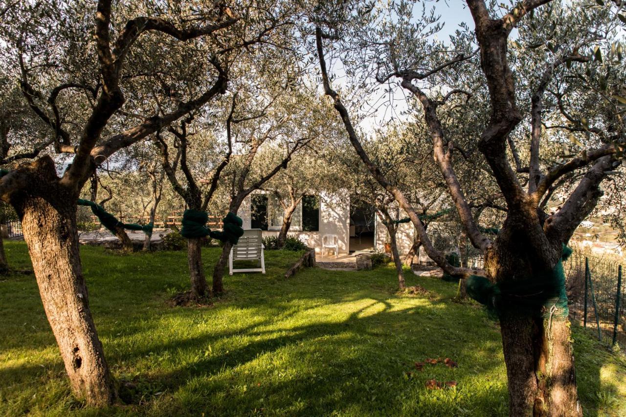 Agri Bed - L'Affittacamere In Collina - Guest Room On The Hill Lavagna Kültér fotó