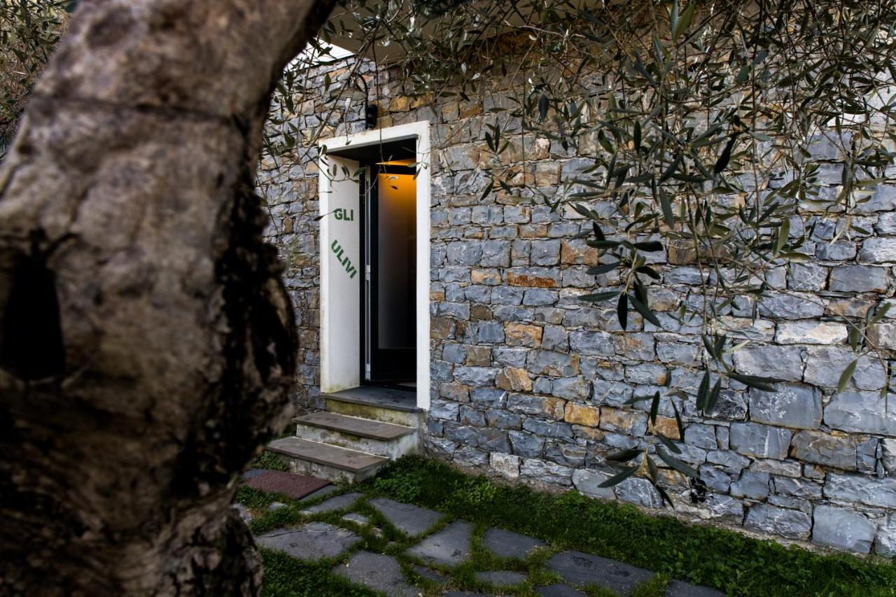Agri Bed - L'Affittacamere In Collina - Guest Room On The Hill Lavagna Kültér fotó