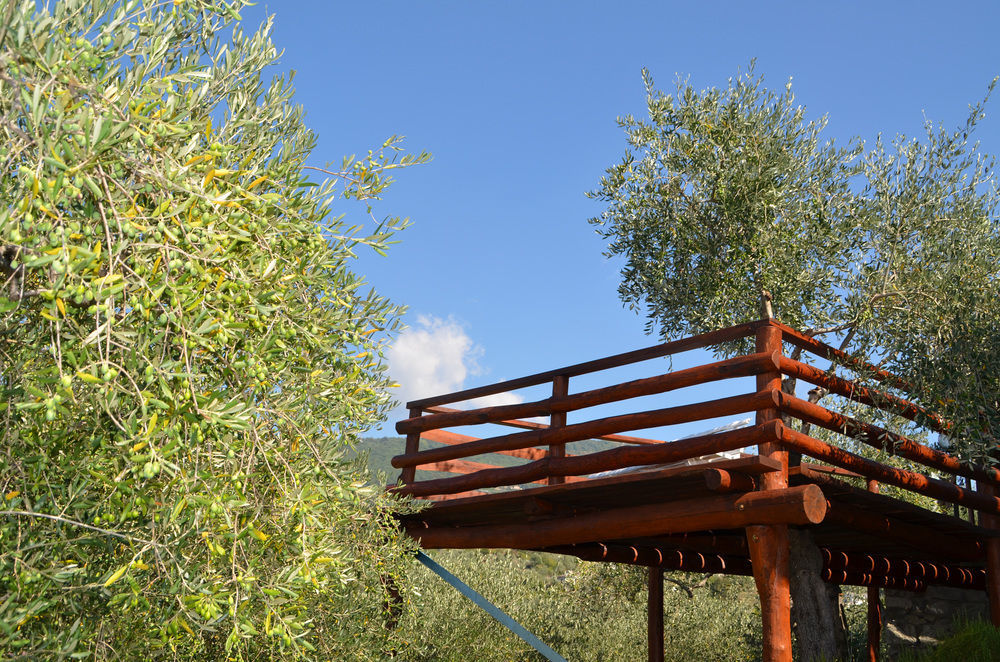Agri Bed - L'Affittacamere In Collina - Guest Room On The Hill Lavagna Kültér fotó